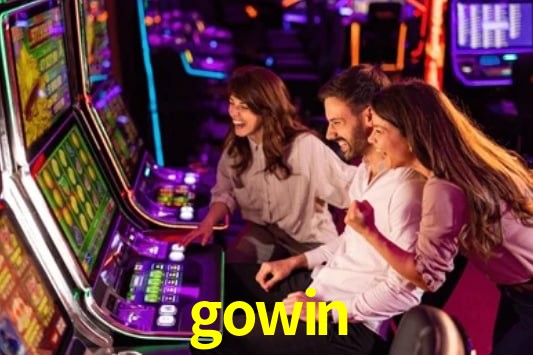 Interface Premium gowin